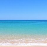 ７月・８月のお休みのお知らせ